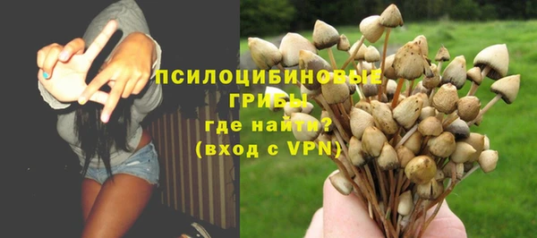 МДПВ Абдулино