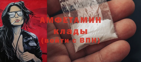 индика Абинск