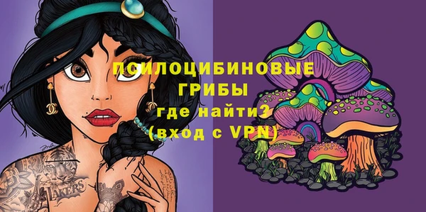 бошки Алексин