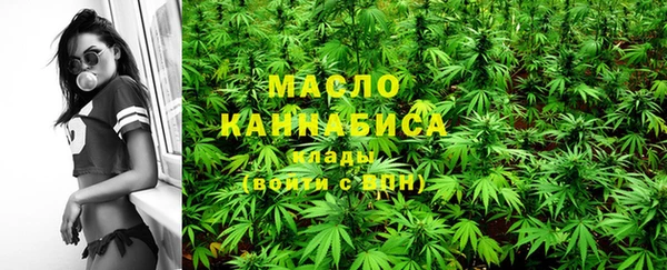 индика Абинск