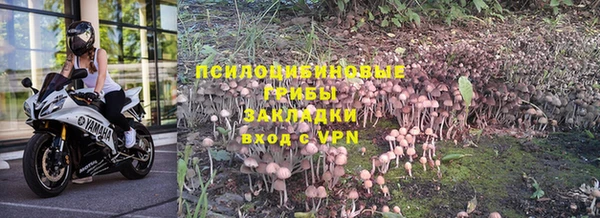 индика Абинск