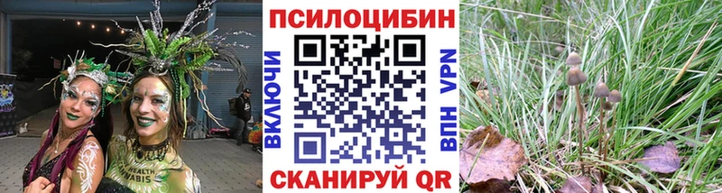 как найти Ирбит Галлюциногенные грибы GOLDEN TEACHER